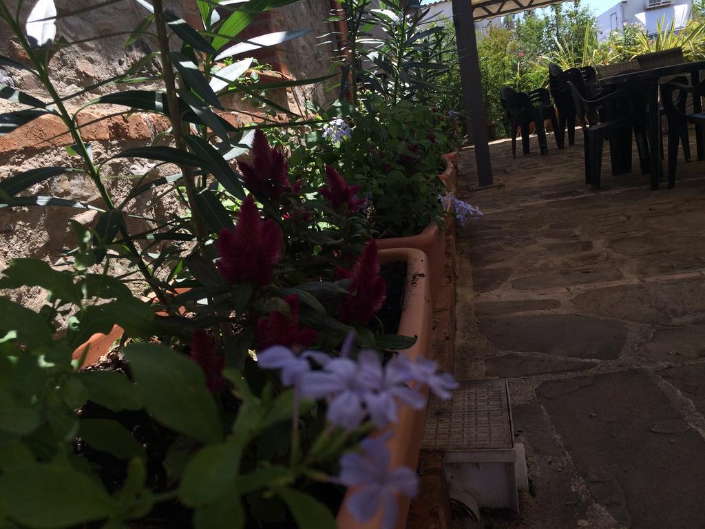 Societa Agricola Mg Florplant Βίλα Francavilla Marittima Εξωτερικό φωτογραφία