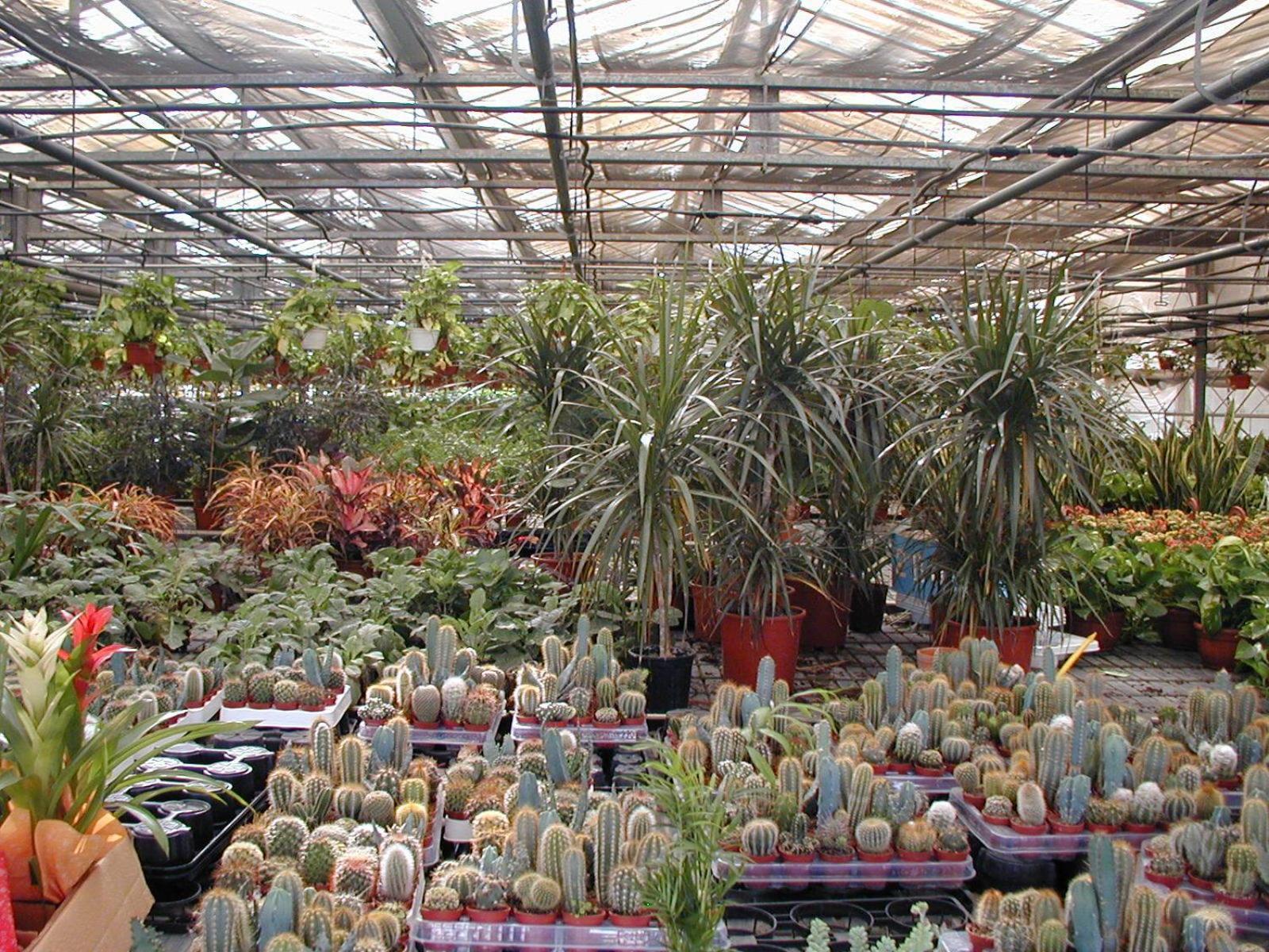 Societa Agricola Mg Florplant Βίλα Francavilla Marittima Εξωτερικό φωτογραφία