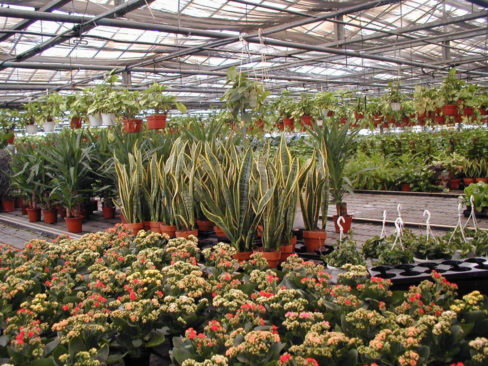 Societa Agricola Mg Florplant Βίλα Francavilla Marittima Εξωτερικό φωτογραφία